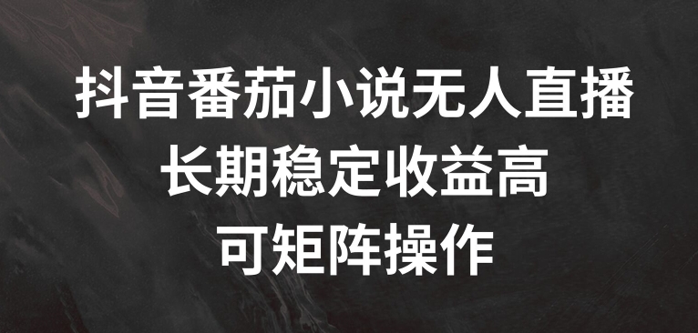 抖音番茄小说无人直播，长期稳定收益高，可矩阵操作【揭秘】-百盛轻创