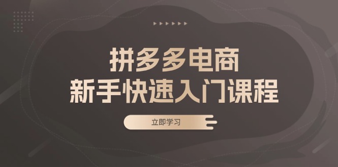 拼多多电商新手快速入门课程：涵盖基础、实战与选款，助力小白轻松上手-百盛轻创