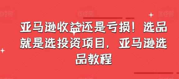 亚马逊收益还是亏损！选品就是选投资项目，亚马逊选品教程-小艾项目网
