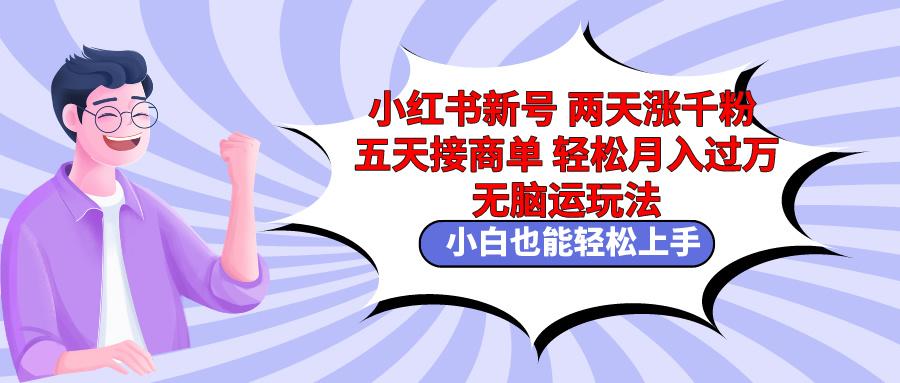 小红书新号两天涨千粉五天接商单轻松月入过万 无脑搬运玩法 小白也能轻…-百盛轻创
