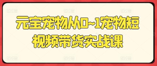 元宝宠物从0~1宠物短视频带货实战课-百盛轻创