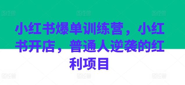 小红书爆单训练营，小红书开店，普通人逆袭的红利项目-百盛轻创