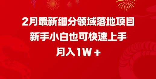 2月最新细分领域落地项目，新手小白也可快速上手，月入1W-百盛轻创