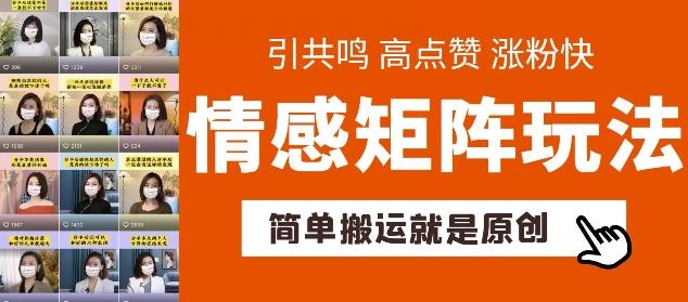 简单搬运，情感矩阵玩法，涨粉速度快，可带货，可起号【揭秘】-小艾项目网