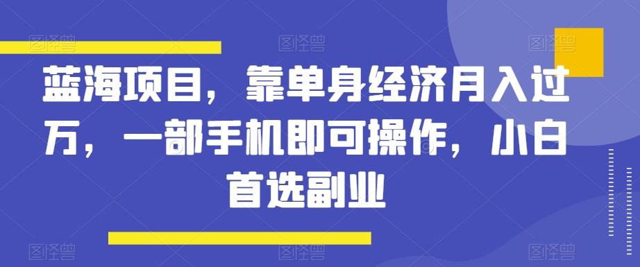蓝海项目，靠单身经济月入过万，一部手机即可操作，小白首选副业【揭秘】-百盛轻创