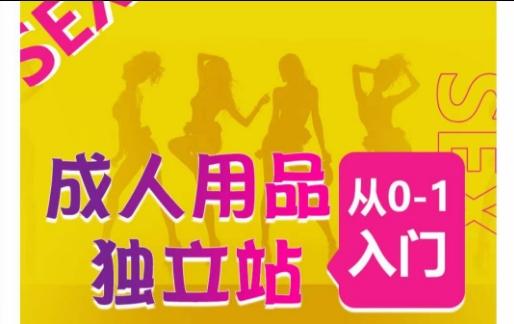 成人用品独立站从0-1入门，成品独立站运营全流程教学，七大好卖成品独立站推荐-百盛轻创