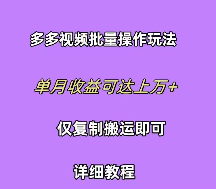 (10029期)拼多多视频带货快速过爆款选品教程 每天轻轻松松赚取三位数佣金 小白必…-百盛轻创