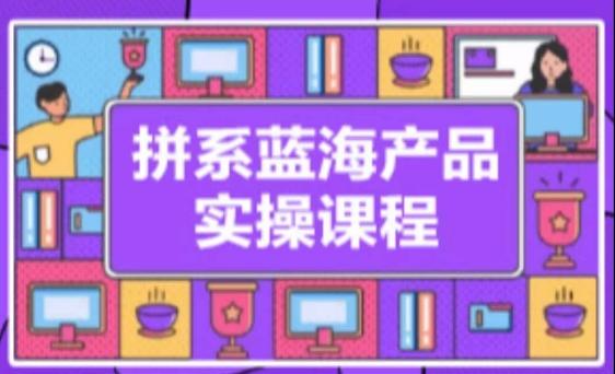拼系冷门蓝海产品实操课程，从注册店铺到选品上架到流量维护环环相扣-百盛轻创