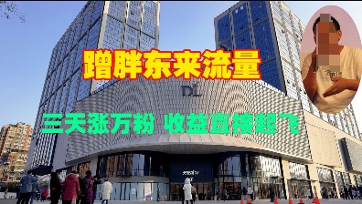 蹭胖东来流量，三天涨万粉，收益直接起飞-百盛轻创