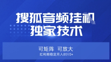 【搜狐音频挂G】独家技术，可矩阵可放大，红利期稳定月入8k【揭秘】-百盛轻创