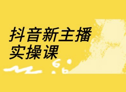 抖音新主播实操课，直播间流量运营线上实操课(18节)-百盛轻创