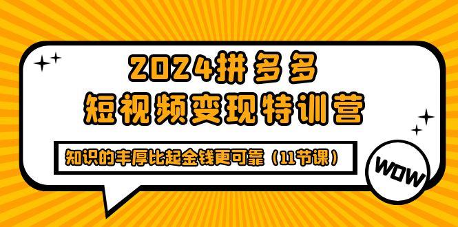 (9817期)2024拼多多短视频变现特训营，知识的丰厚比起金钱更可靠(11节课)-百盛轻创