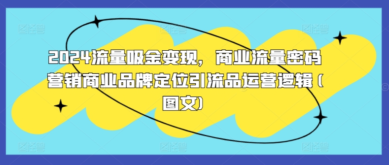 2024流量吸金变现，商业流量密码营销商业品牌定位引流品运营逻辑(图文)-小艾项目网