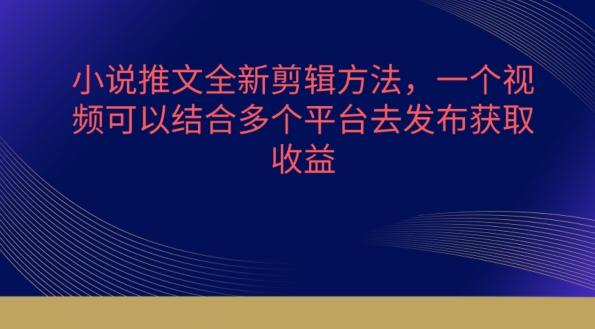 小说推文全新剪辑方法，一个视频可以结合多个平台去发布获取【揭秘】-百盛轻创