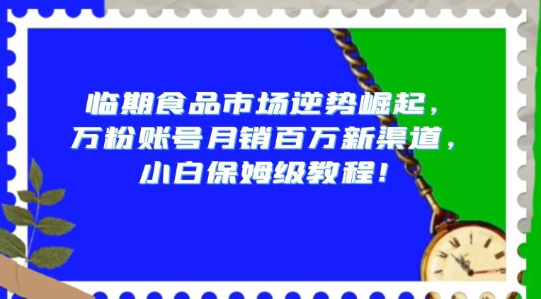 临期食品市场逆势崛起，万粉账号月销百万新渠道，小白保姆级教程【揭秘】-百盛轻创