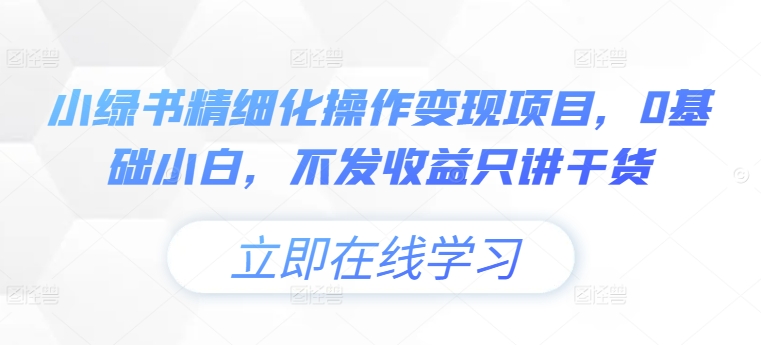 小绿书精细化操作变现项目，0基础小白，不发收益只讲干货-小艾项目网