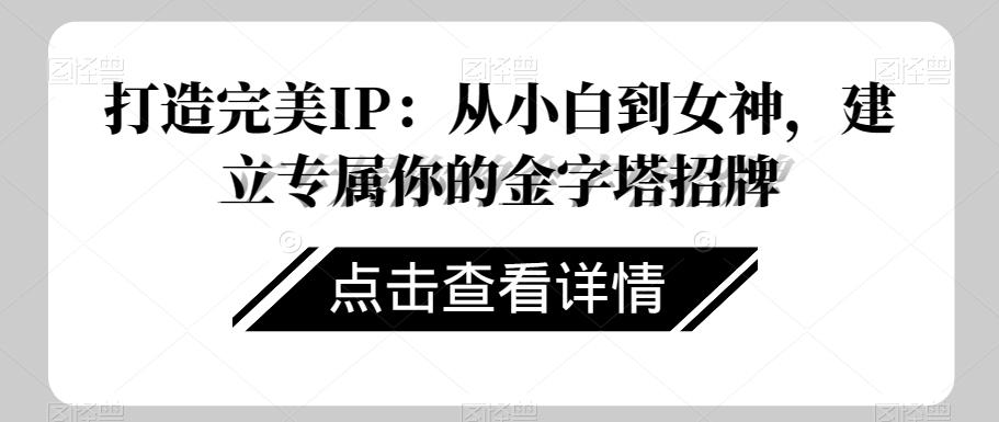 打造完美IP：从小白到女神，建立专属你的金字塔招牌-小艾项目网