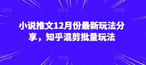 小说推文12月份最新玩法分享，知乎混剪批量玩法-百盛轻创