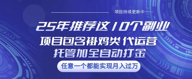 25年推荐这10个副业项目包含褂鸡类、代运营托管类、全自动打金类【揭秘】-百盛轻创