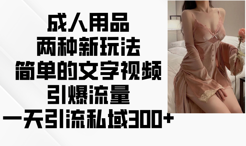 成人用品两种新玩法，简单的文字视频引爆流量，一天引流私域300+-小艾项目网