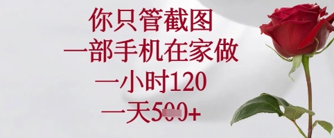 你只管截图，一部手机在家可以做，一小时120.一天5张+【揭秘】-小艾项目网