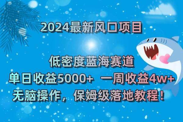 (8545期)2024最新风口项目 低密度蓝海赛道，日收益5000+周收益4w+ 无脑操作，保…-百盛轻创