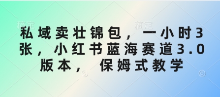 私域卖壮锦包，一小时3张，小红书蓝海赛道3.0版本， 保姆式教学-百盛轻创