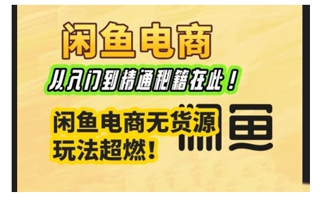 闲鱼电商实战课，从入门到精通秘籍在此，闲鱼电商无货源玩法超燃!-百盛轻创