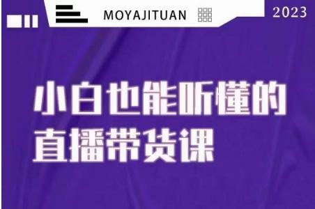 大威本威·能听懂的直播带货课，小白也能听懂，20节完整-小艾项目网
