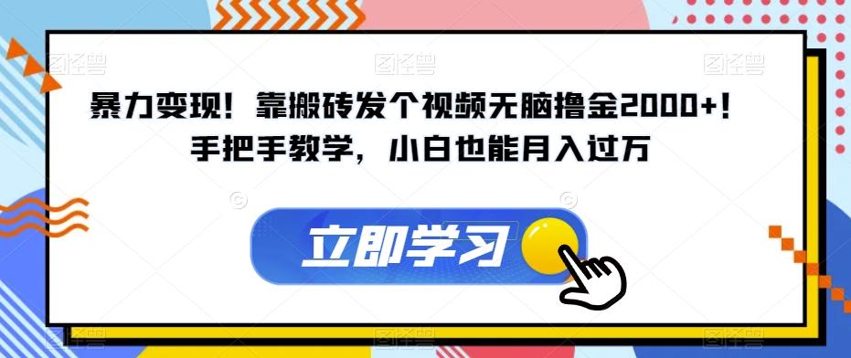 暴力变现！靠搬砖发个视频无脑撸金2000+！手把手教学，小白也能月入过万【揭秘】-小艾项目网