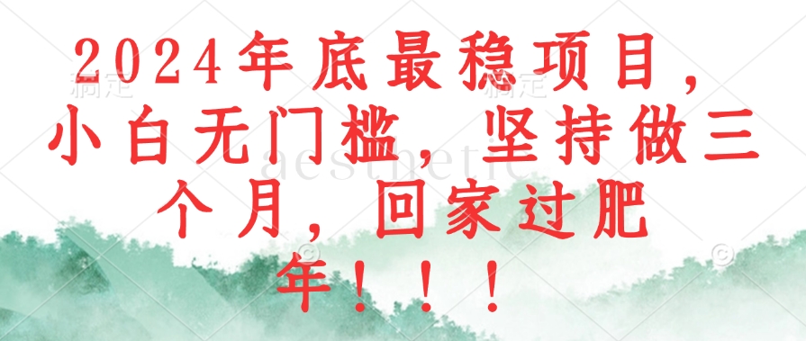 2024年底最稳项目，小白无门槛，坚持做三个月，回家过肥年！！！-小艾项目网