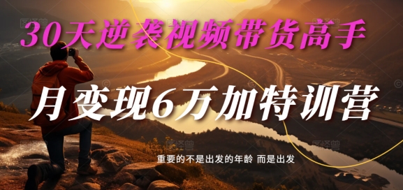 30天逆袭视频带货高手，单月变现6万加特训营-麦子甜-百盛轻创