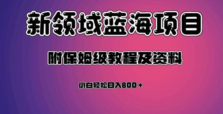 虚拟资源蓝海领域新项目，轻松日入800＋，附保姆级教程及资料-小艾项目网