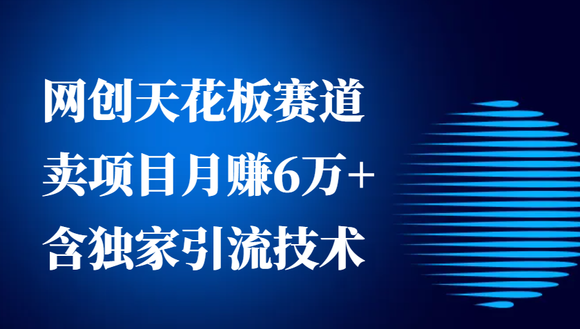 网创天花板赛道，卖项目月赚6万+，含独家引流技术(共26节课)-百盛轻创