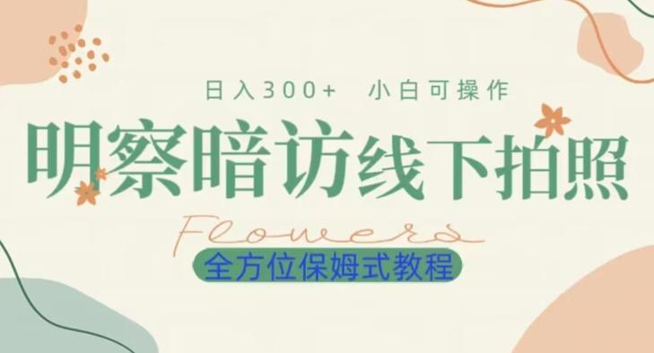 明拍暗拍项目0成本投入日入300+小白可操作保姆式全方位教程-小艾项目网