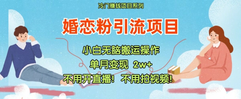 小红书婚恋粉引流，不用开直播，不用拍视频，不用做交付【揭秘】-小艾项目网