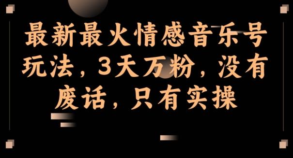 最新最火情感音乐号玩法，3天万粉，没有废话，只有实操-小艾项目网