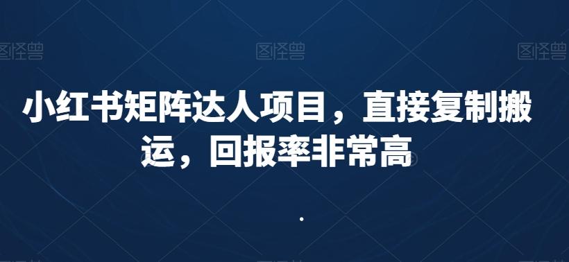 小红书矩阵达人项目，直接复制搬运，回报率非常高-百盛轻创