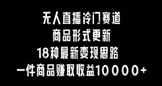 无人直播冷门赛道，商品形式更新，18种变现思路，一件商品赚取收益10000+【揭秘】-百盛轻创
