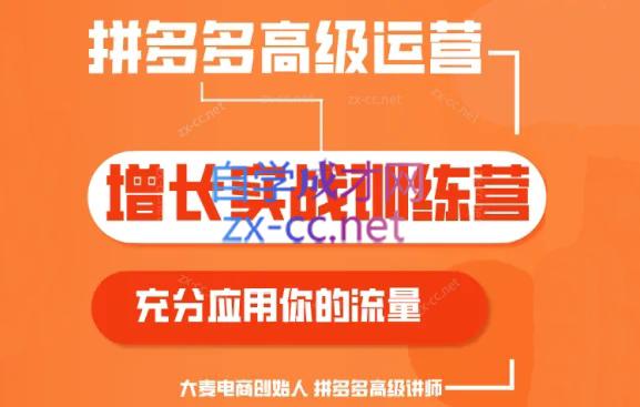大麦老师·拼多多单品爆款打造课程(更新6月)-百盛轻创