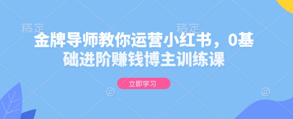 金牌导师教你运营小红书，0基础进阶赚钱博主训练课-百盛轻创