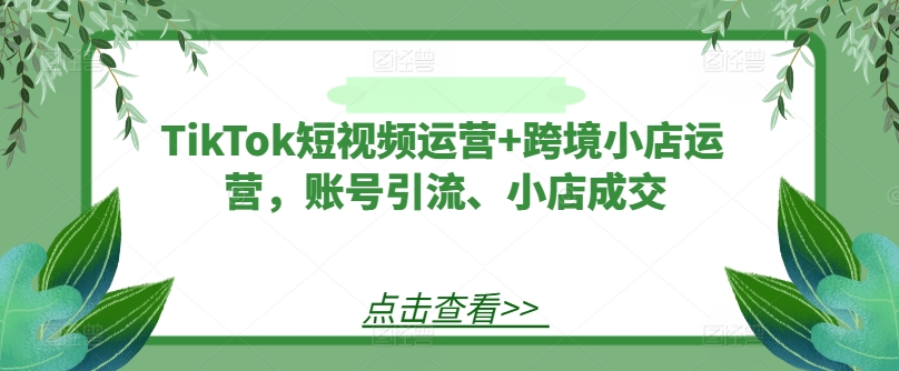 TikTok短视频运营+跨境小店运营，账号引流、小店成交-百盛轻创