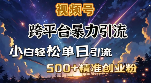 跨平台暴力引流，私域完美闭环，日引500+精准创业粉-小艾项目网