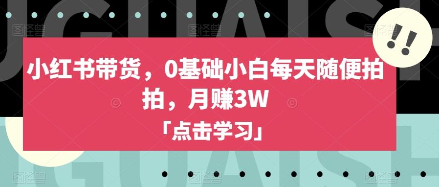 小红书带货，0基础小白每天随便拍拍，月赚3W【揭秘】-小艾项目网