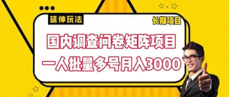 国内调查问卷矩阵项目，一人批量多号月入3000【揭秘】-百盛轻创