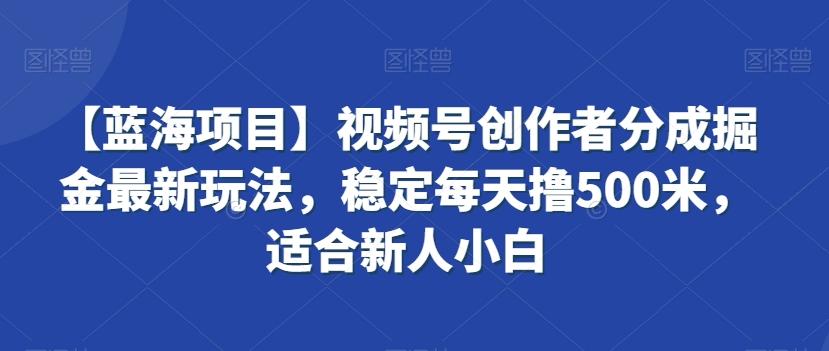 【蓝海项目】视频号创作者分成掘金最新玩法，稳定每天撸500米，适合新人小白【揭秘】-百盛轻创