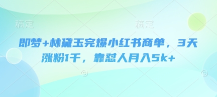 即梦+林黛玉完爆小红书商单，3天涨粉1千，靠怼人月入5k+-百盛轻创