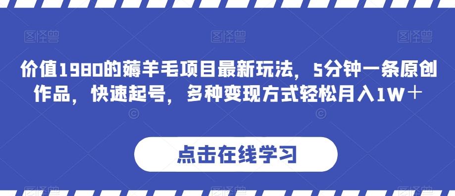 价值1980的薅羊毛项目最新玩法，5分钟一条原创作品，快速起号，多种变现方式轻松月入1W＋【揭秘】-小艾项目网