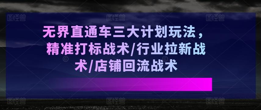 无界直通车三大计划玩法，精准打标战术/行业拉新战术/店铺回流战术-百盛轻创