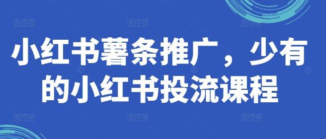 小红书薯条推广，少有的小红书投流课程-百盛轻创